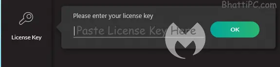 DriverFix License Key